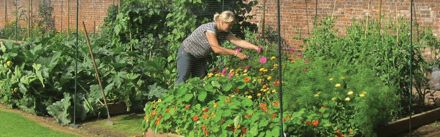 Walk in Fruit Cages