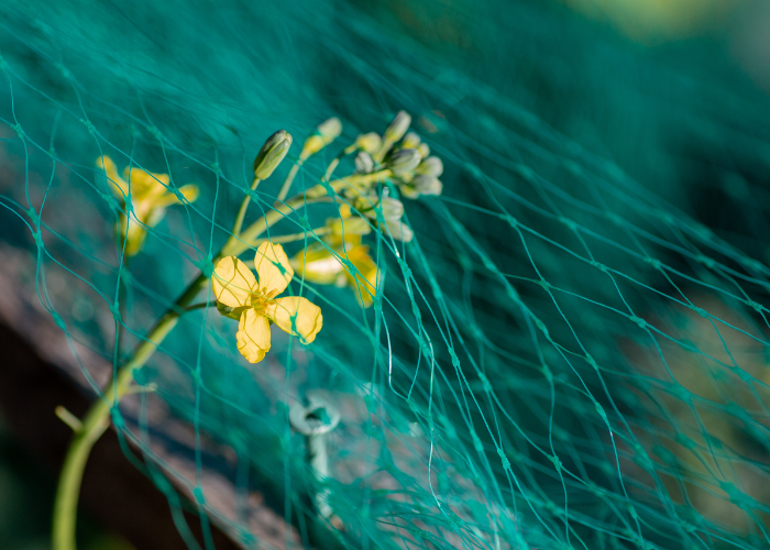 nets for your garden
