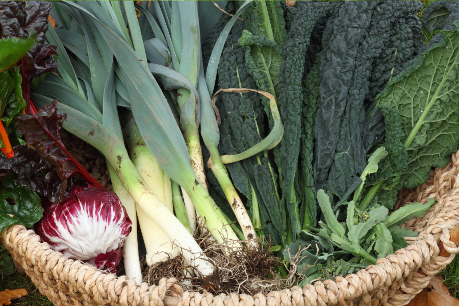 november veg