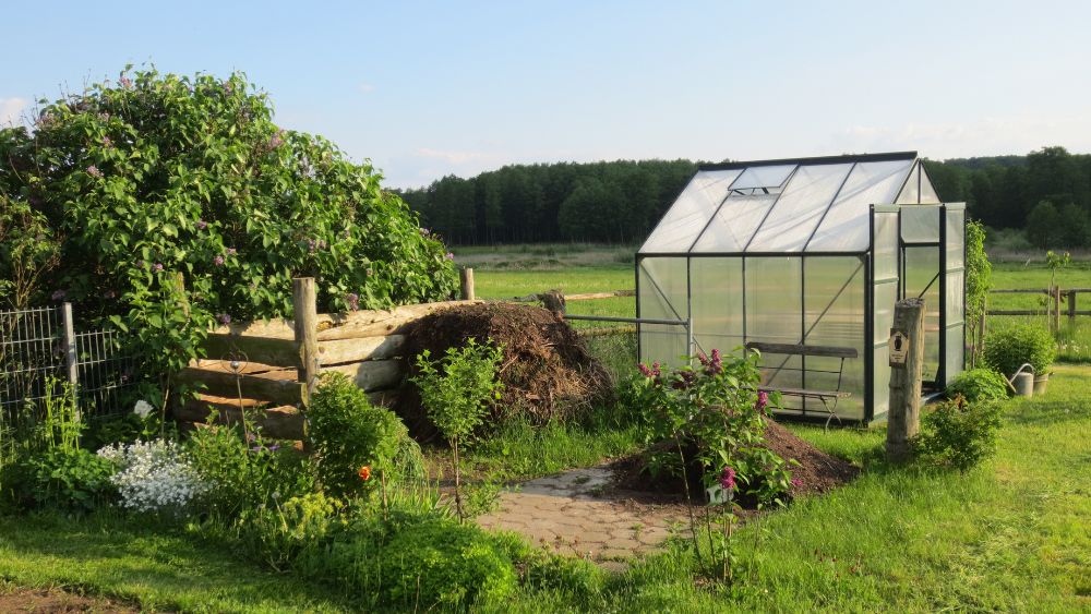 protecting garden trees in winter