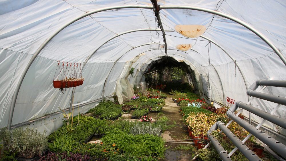 setting up a garden net tunnel