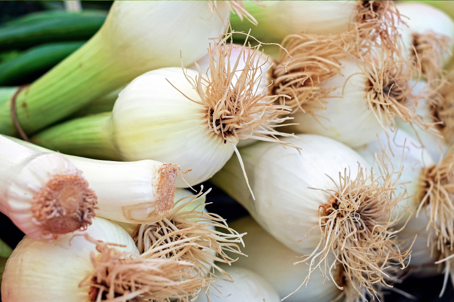 spring onions