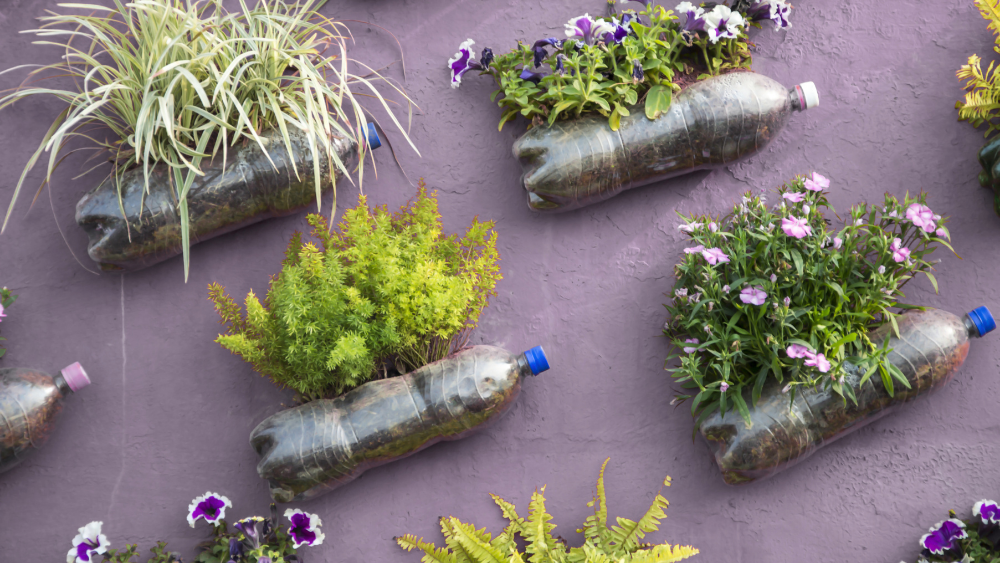 bottle garden