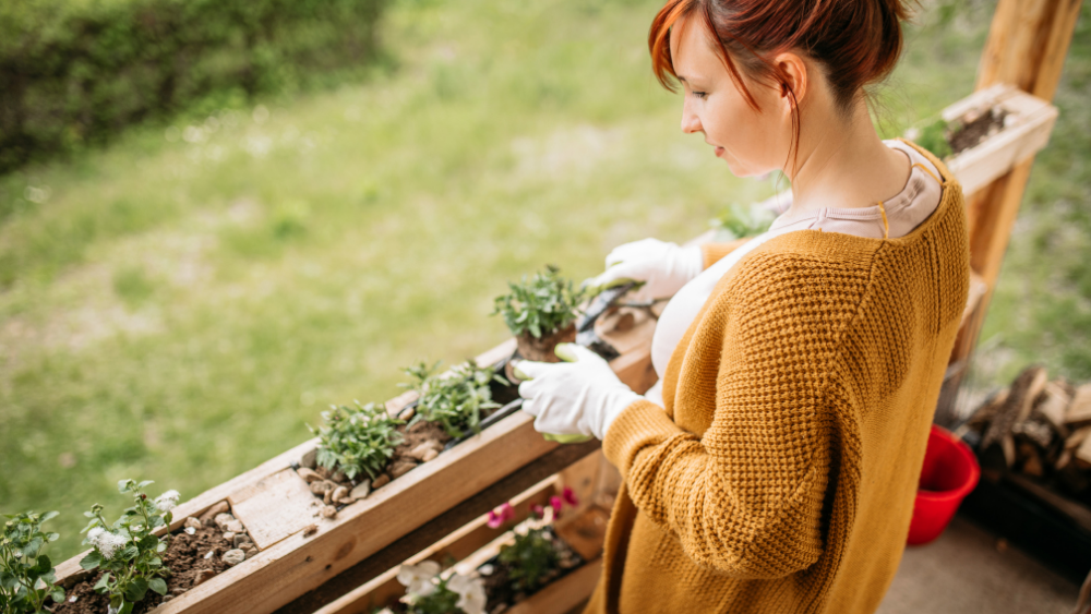 5 Vertical Vegetable Garden Ideas For Beginners