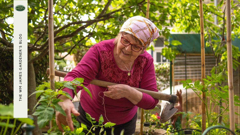 Older Woman content in her allotment 