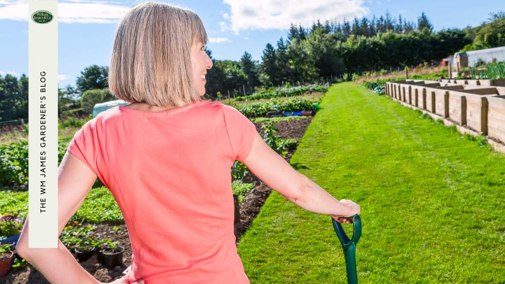 Woman planning her allotment