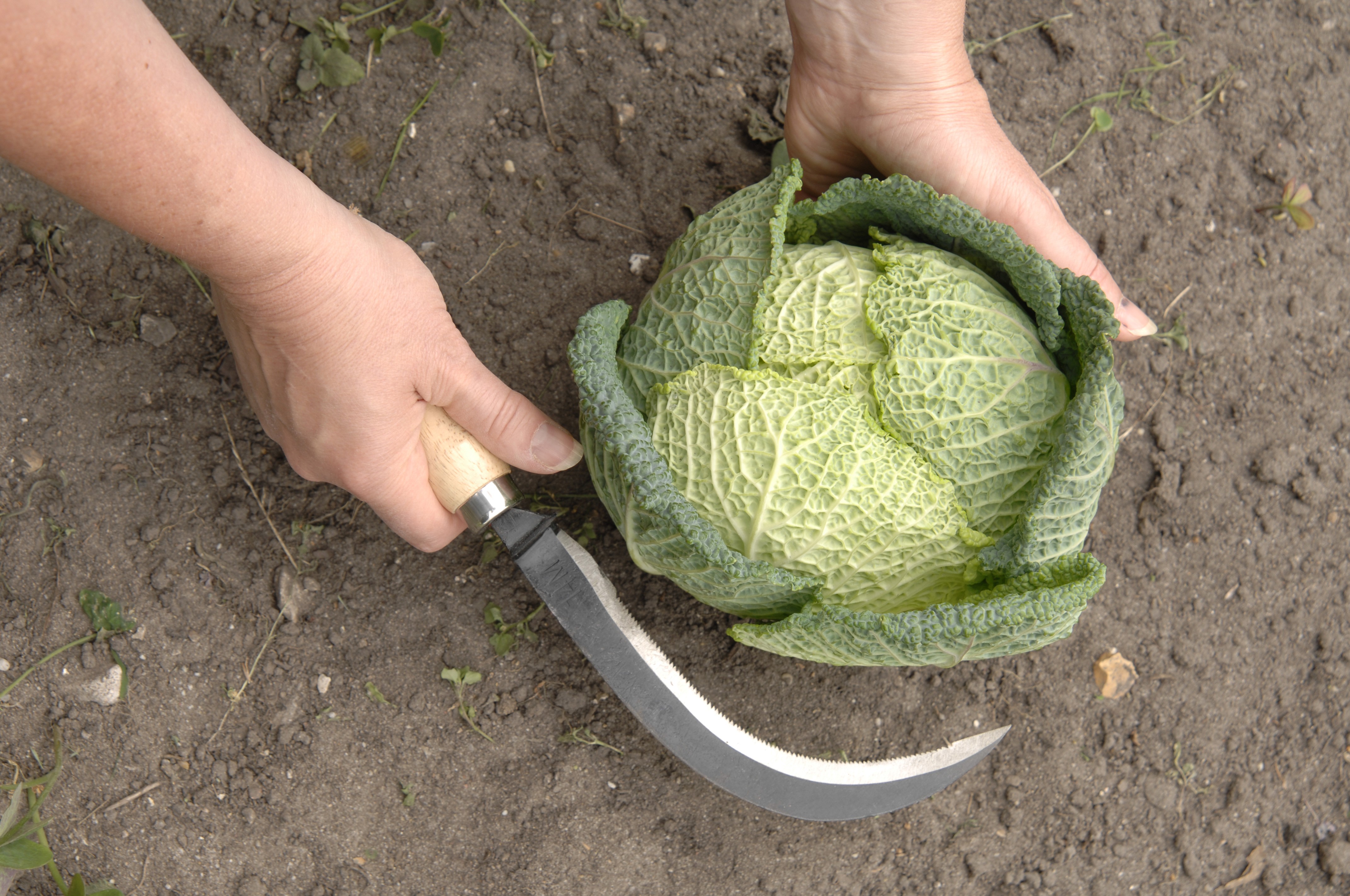 WM James & Co Garden Tools for Beginners & Professionals Alike