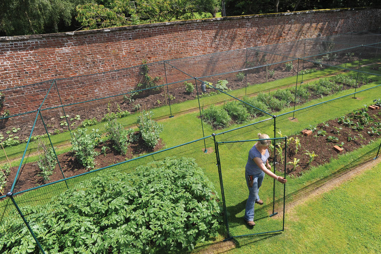 23.1 x 5.5m Classic Steel Fruit Cage, Private Residence Staffordshire 