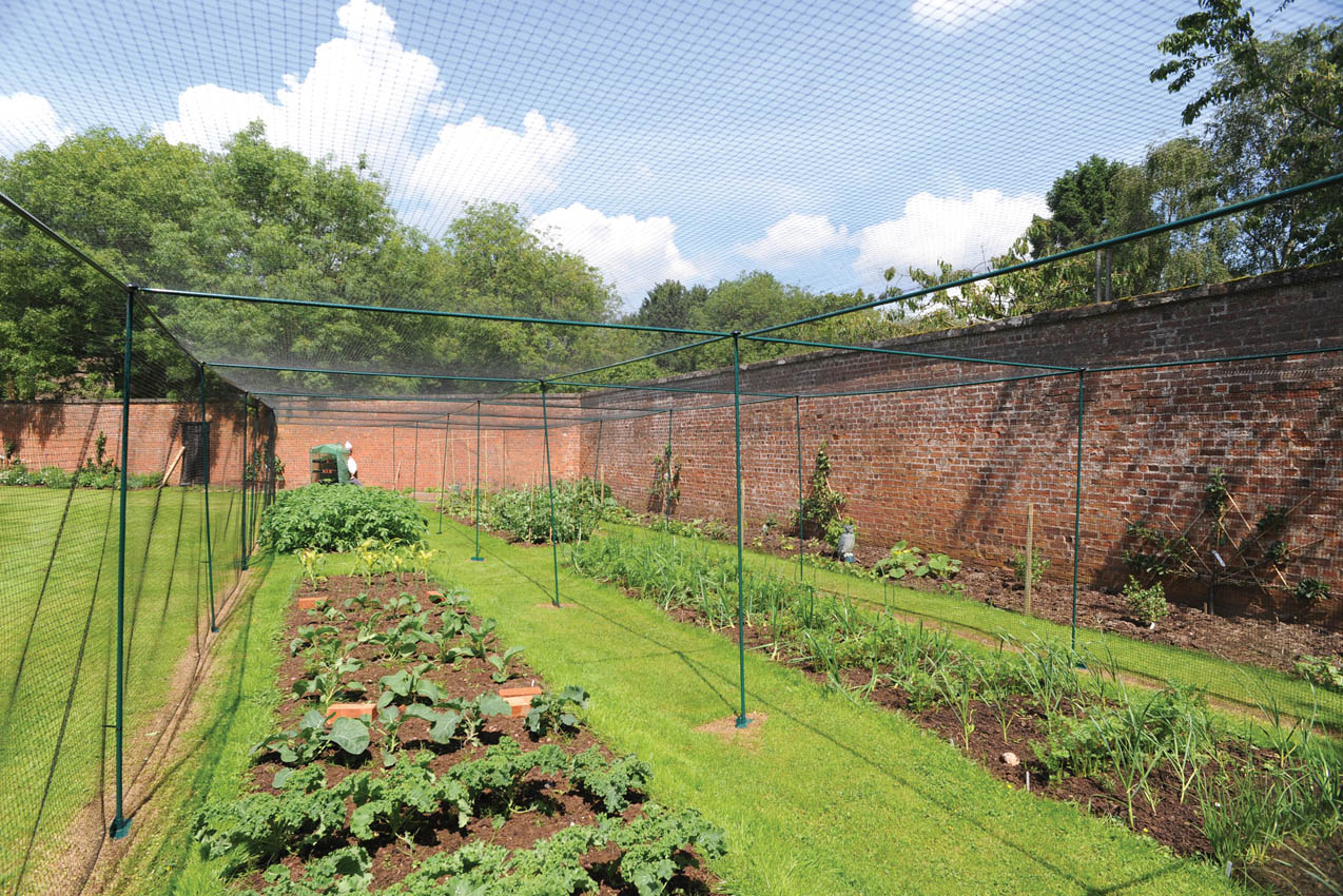23.1 x 5.5m Classic Steel Fruit Cage, Private Residence Staffordshire 