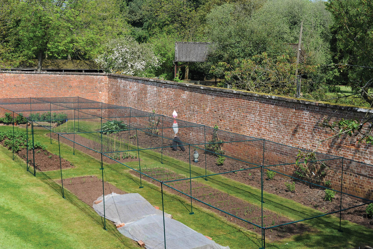 23.1 x 5.5m Classic Steel Fruit Cage, Private Residence Staffordshire