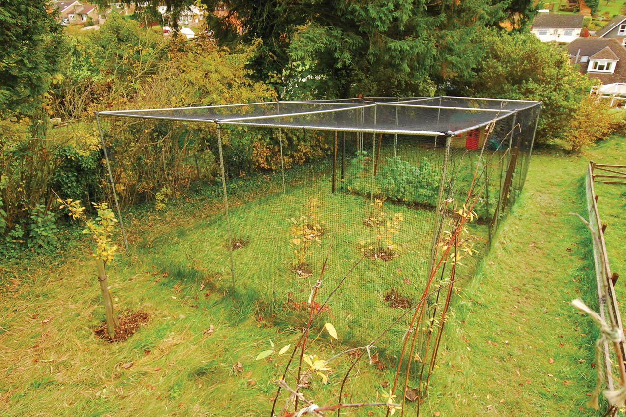 Premium Aluminium Fruit Cage, Private Residence Prestwood, Buckinghamshire